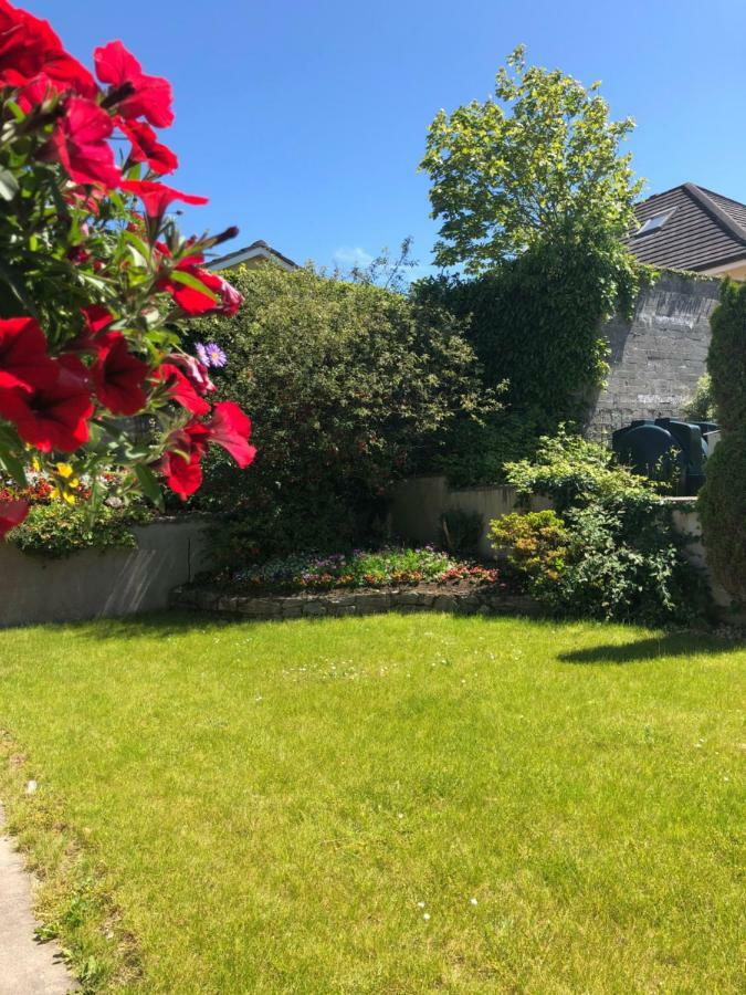 Bed and Breakfast Amber Heights Galway Exterior foto