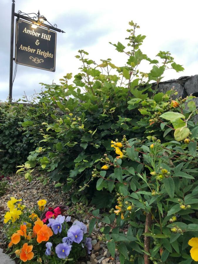 Bed and Breakfast Amber Heights Galway Exterior foto